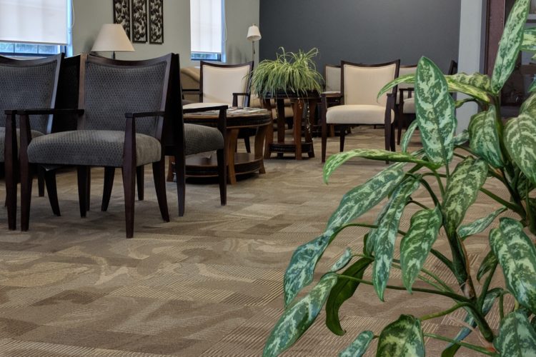 Seating for patients waiting in the lobby of Cole White Dental