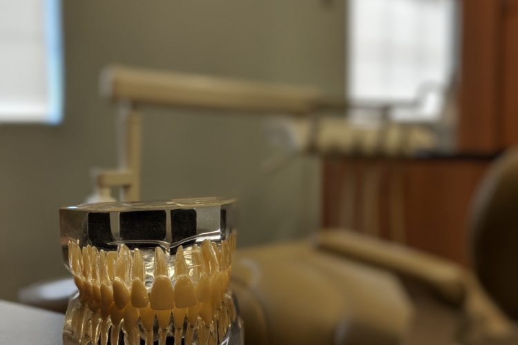 Sculp of a human mouth and teeth sitting on a counter in an exam room at Cole White Dental