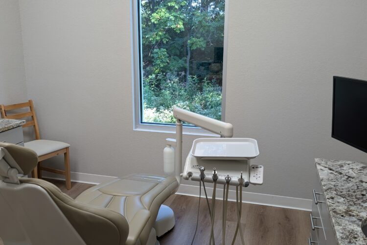 A peaceful view from the dental chair.